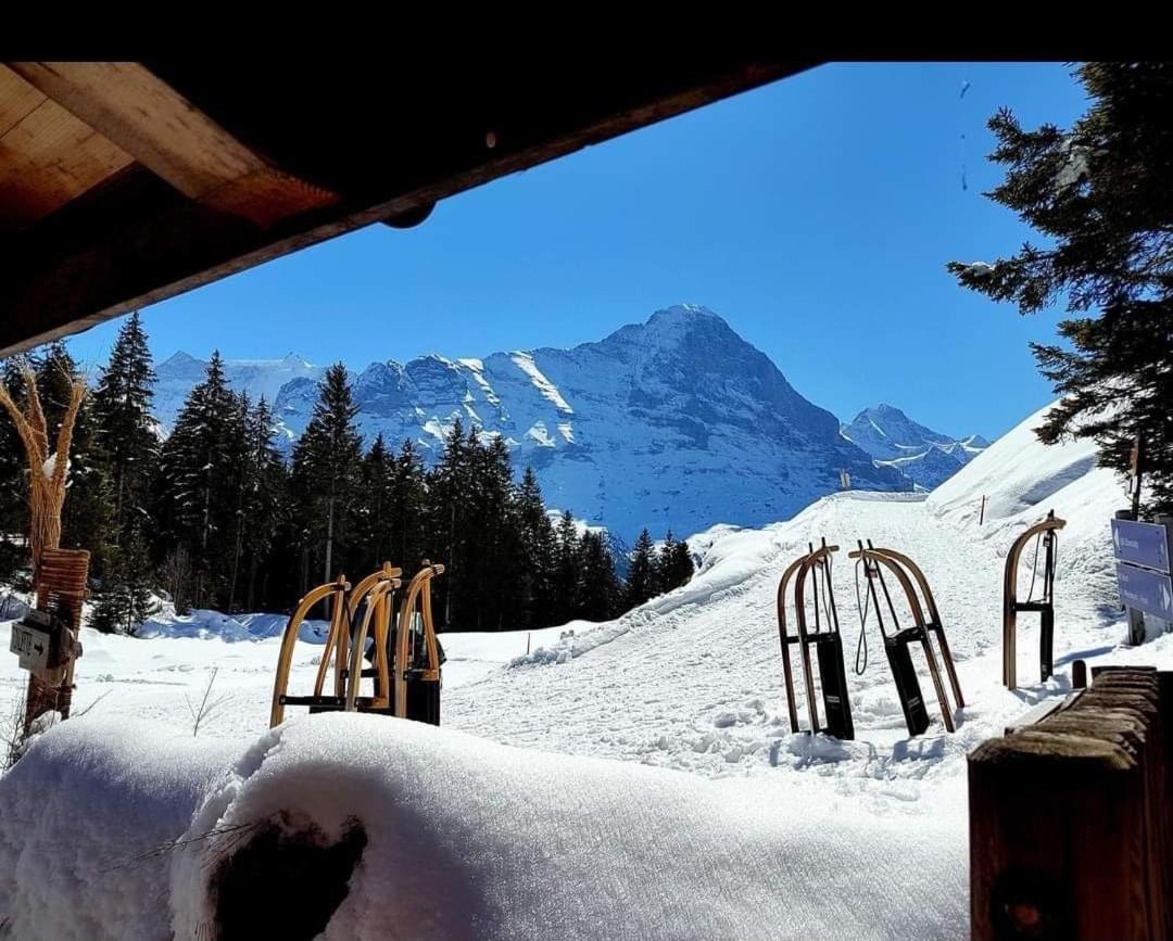 Ferienwohnung Talhaus Lauterbrunnen Εξωτερικό φωτογραφία